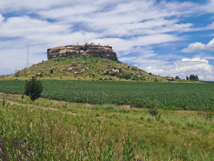 Commercial Property for Sale in Rosendal Free State